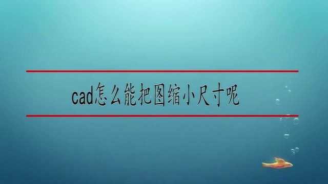 cad怎么能把图缩小尺寸呢