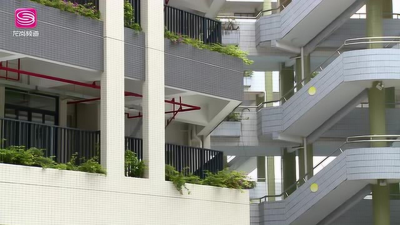 广电《龙岗新闻》平湖中学一期改扩建完成 未来将扩容至54个班