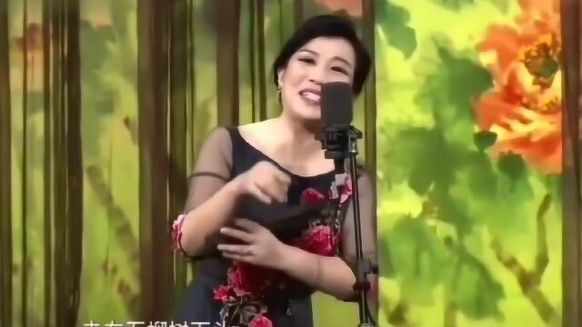 河南坠子《偷石榴》演唱:李巧倜 伴奏:杨庆林等