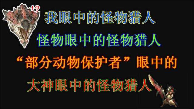 我眼中的,怪物眼中的,动物保护者眼中的,大神眼中的怪物猎人?