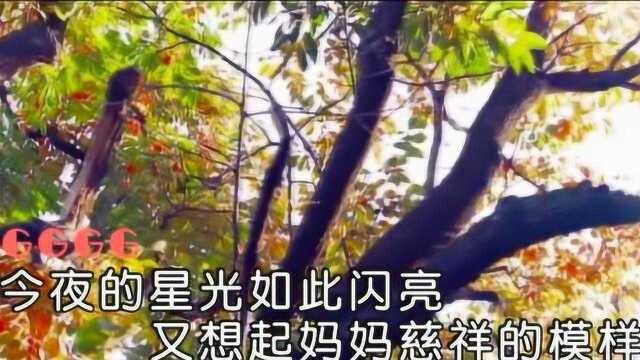 谢士萍《妈妈你别走》KTV发行版