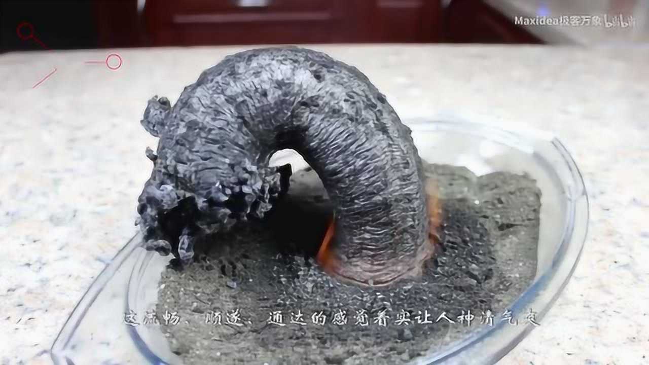 法老之蛇是怎么来的试验大揭秘