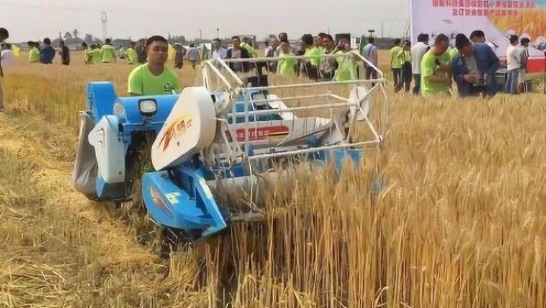 中国发明小型小麦收割机，收割粉碎脱粒一次成型，一天能收30亩地