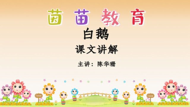 部编四年级下册语文15《白鹅》课文讲解,见识鹅的高傲