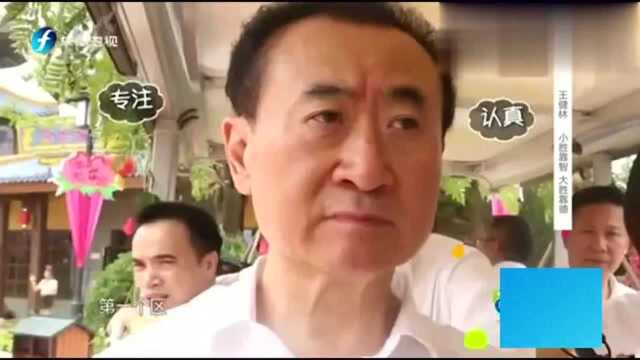 王健林:带鲁豫视察万达主题公园