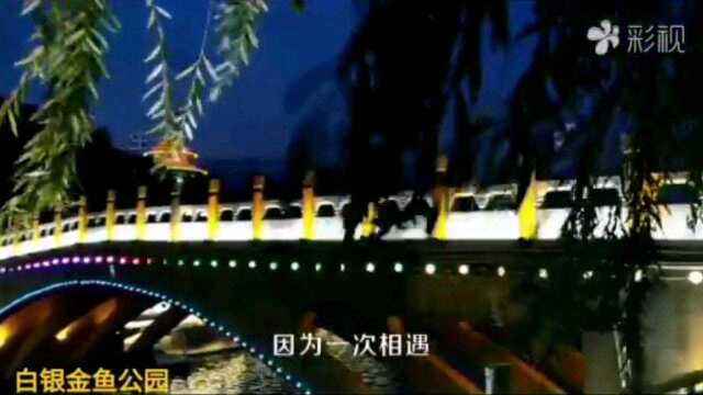 美丽的白银在甘肃(白银市夜景)