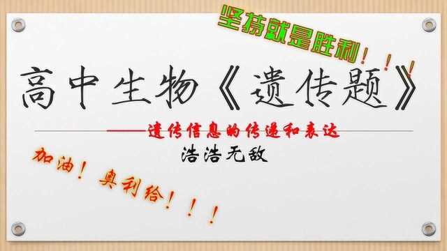 【高中生物】遗传信息的传递和表达——浩浩无敌