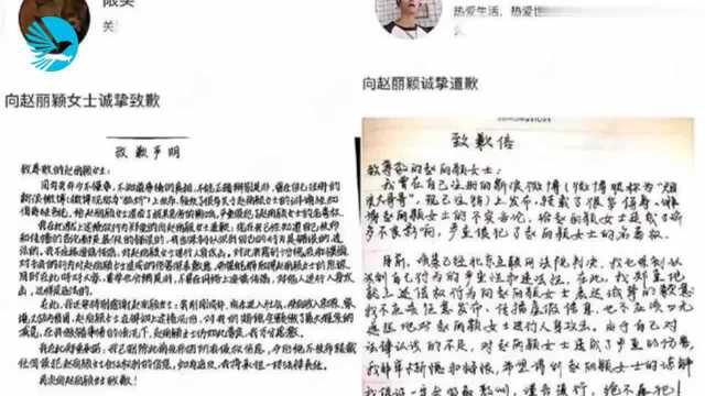 被赞人美心善,赵丽颖维权后减免赔偿,因造谣者刚成年无收入来源