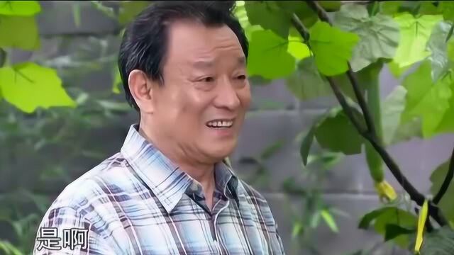 《娘家的故事》老何以丝瓜喻人,教导小西为人处世的道理