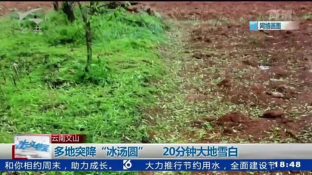 云南文山 多地突降“冰汤圆” 20分钟大地雪白