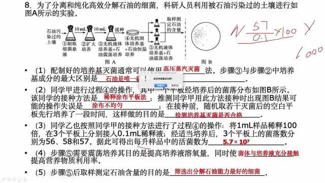 3.25高二生物 第二章 微生物的培养和应用 章末复习