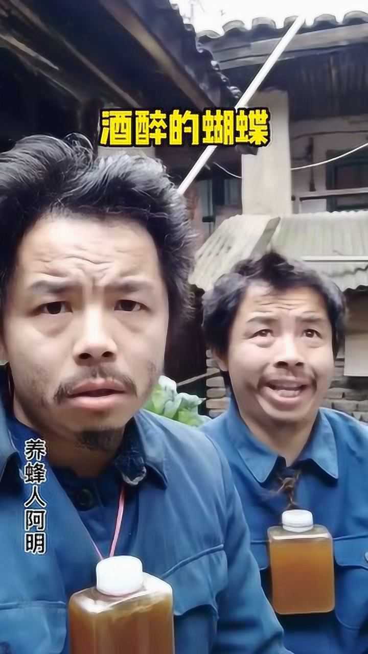 养蜂人,阿明,酒醉的蝴蝶!