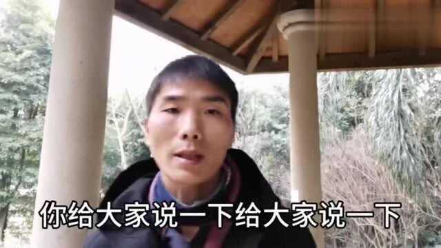 最后的棒棒:河南回应平板电脑事件,原来是套路惹的祸!