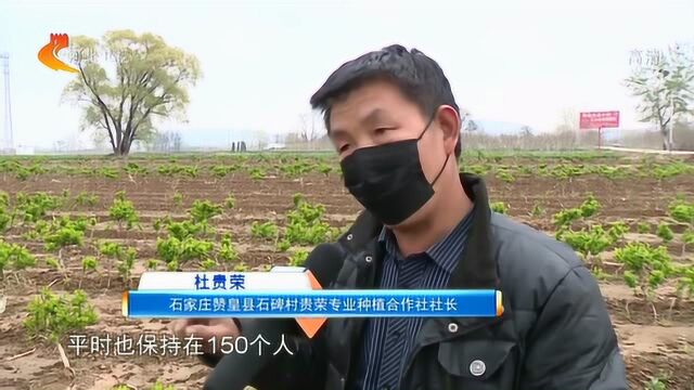 石家庄赞皇:变输血为造血 授“渔”扶志稳定脱贫