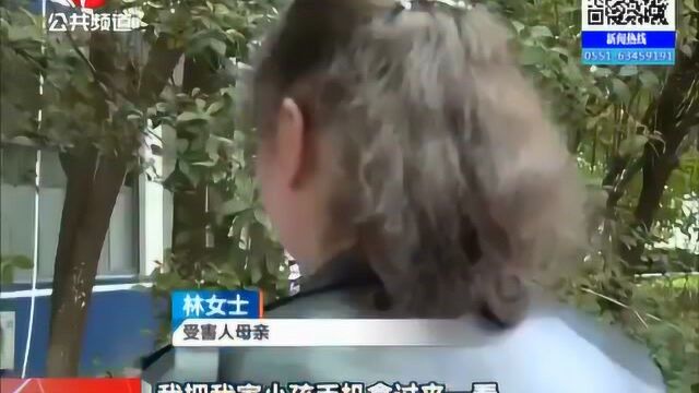 芜湖:沉迷网络游戏 小学生被骗四千多元 警方迅速抓获嫌疑人