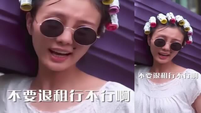 神探包租婆:不管谁,欺负我的租客就是不可以