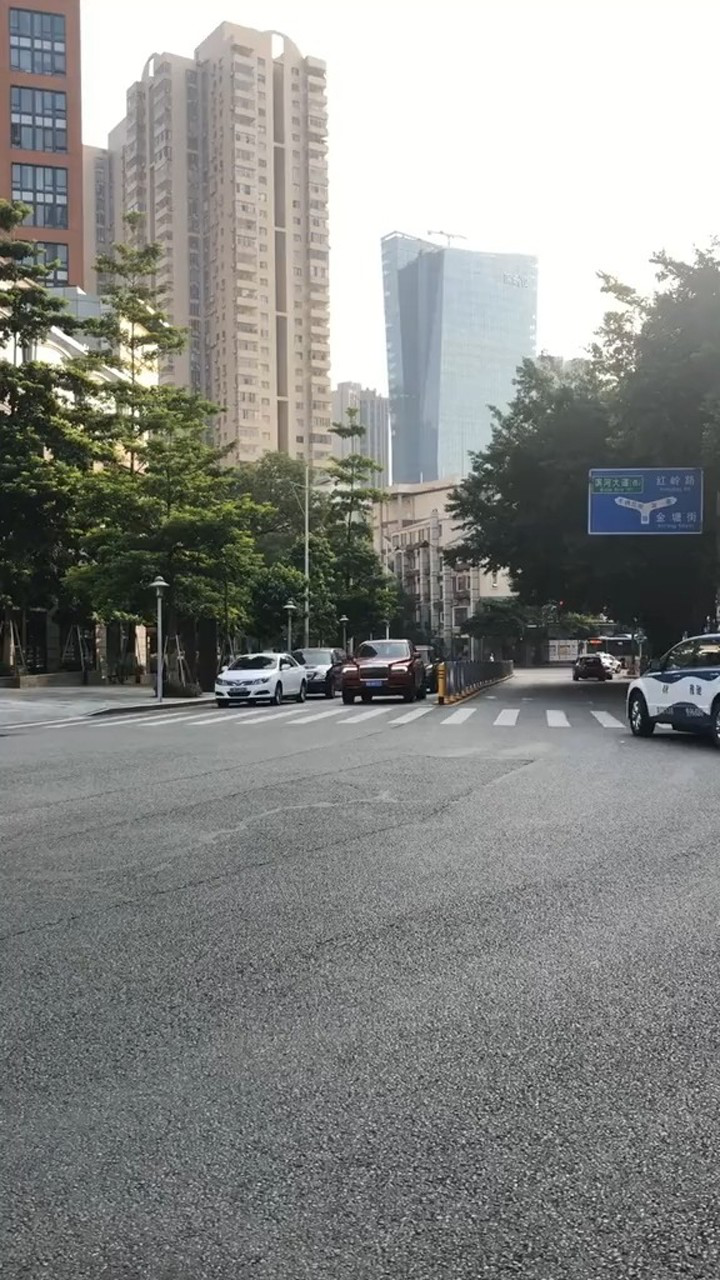 劳斯莱斯库里南出来炸街不知道开这车的人是老板还是司机