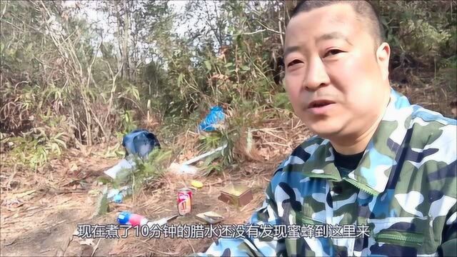 达州:农村大叔学诱蜂,翻山越岭不怕累,他诱蜂效果咋样?