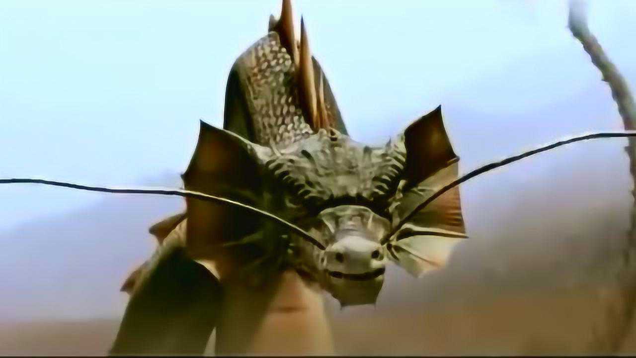 星虎破口辱骂蛟龙,不料到水里的蛟龙真现身了,这下惨了!