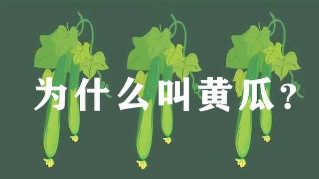 黄瓜表皮是绿色的,为什么不叫“绿瓜”,却要叫黄瓜?