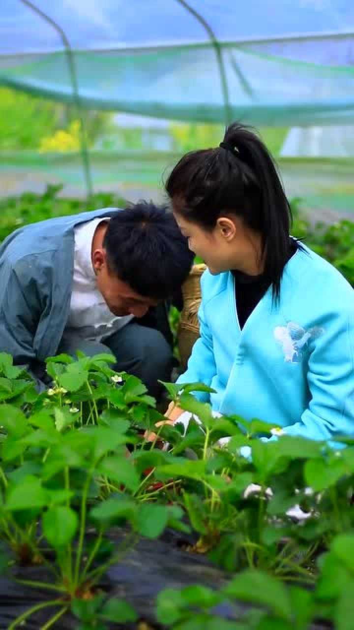 鳝家大娃的老婆图片图片