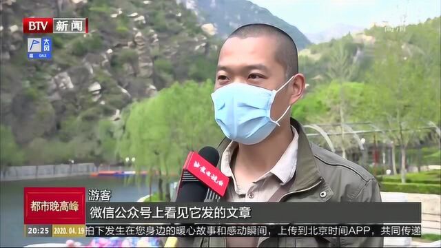 怀柔青龙峡景区恢复开放 游客需出示健康码实名制购票入园