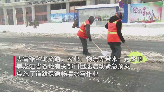 黑龙江多地出现大到暴雪