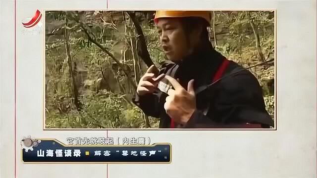 神秘山谷出现石蛙,村民说它有骆驼大小,专家认为非常有可能