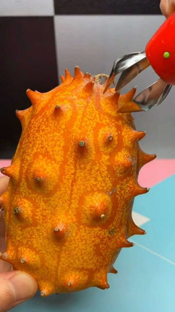 你们见过这种长刺的水果吗?泡水喝简直不要太好