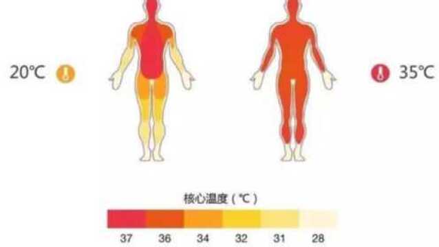 最新研究发现,人体体温在逐年下降,每隔10年下降0.03℃