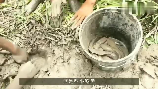 老外掌握“火钓”绝技,一把火钓上半桶鱼,高手在民间