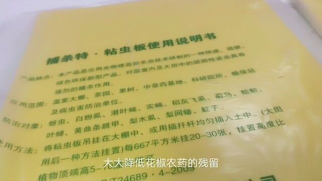 消灭蚜虫的有力武器,不用药不用水,省钱省工省时间