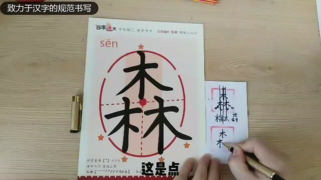 我是练字老师不是书法家,只教孩子们规范书写,“森”字分享