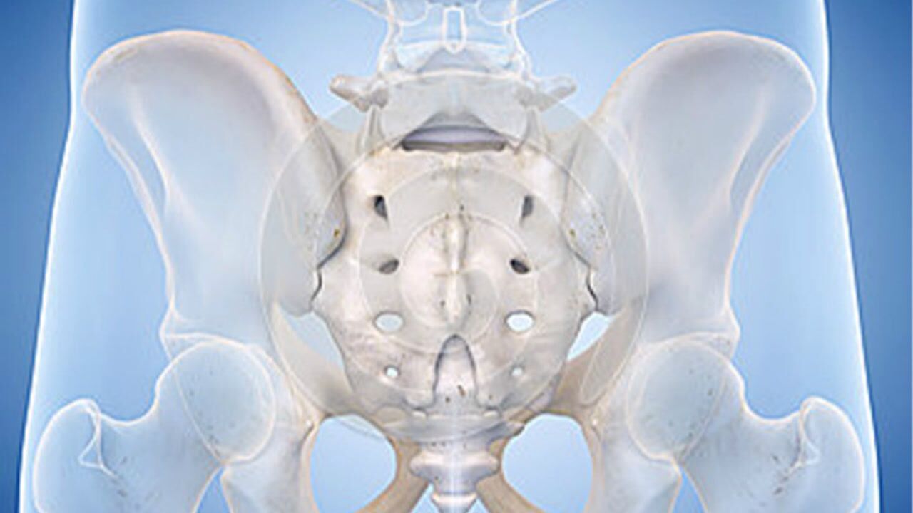 第3节骶尾痛的体检要点