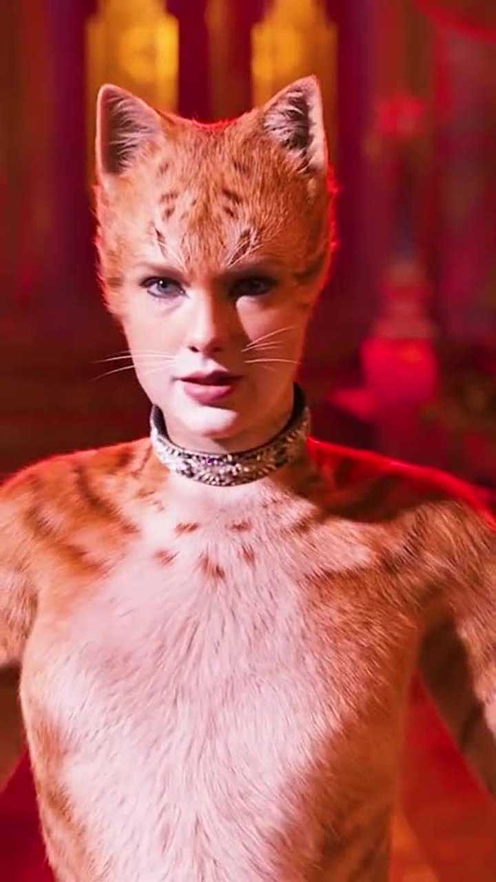 搞笑视频:你喜欢猫吗? 霉霉扮演的那种