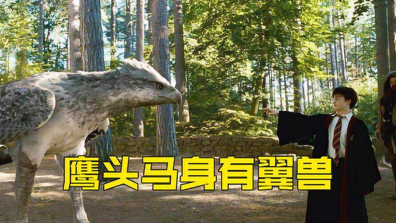 哈利波特中的魔法生物鹰马巴克比克