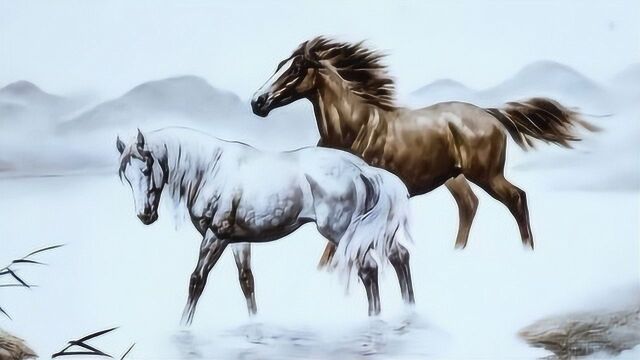 各个年龄段的生肖马,2020年庚子年,财运,贵人运,事业运大解析