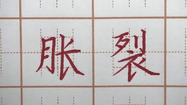 裂字还写不好吗?胀裂二字笔画书写,小学三年级书法写字硬笔练字