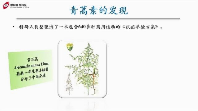 李林蔚:药用植物科普系列3,让疟疾不再“虐疾”—青蒿素