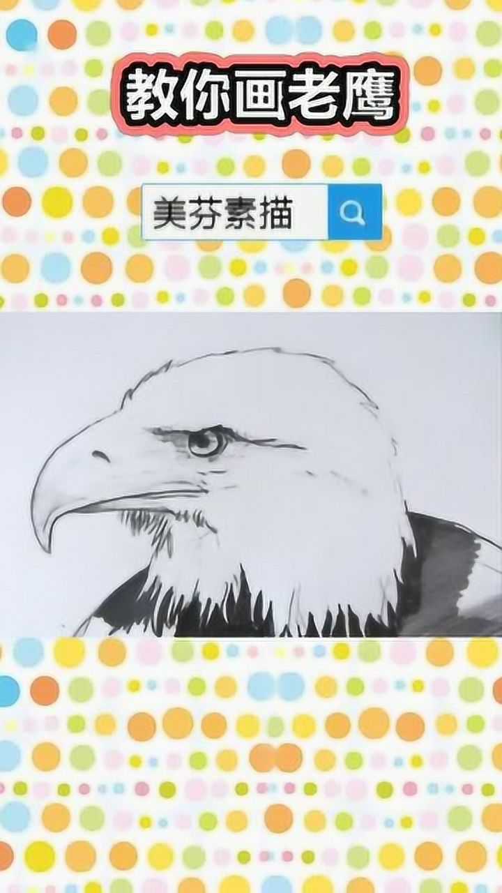 教你一步一步画一只逼真的老鹰素描!动物羽毛效果的表现技巧!