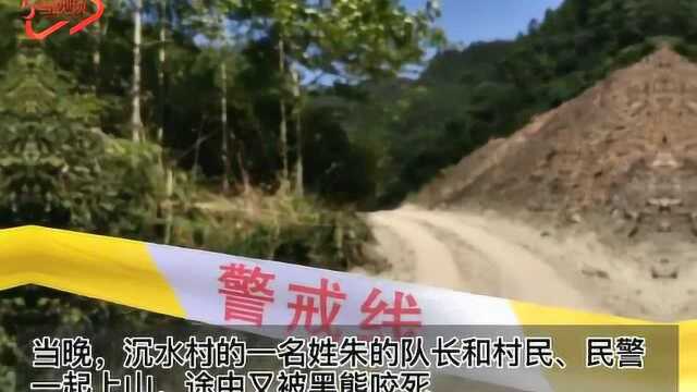 四川江油黑熊咬死3人 母亲送儿读书被袭身亡,孩子躲草丛逃过一劫