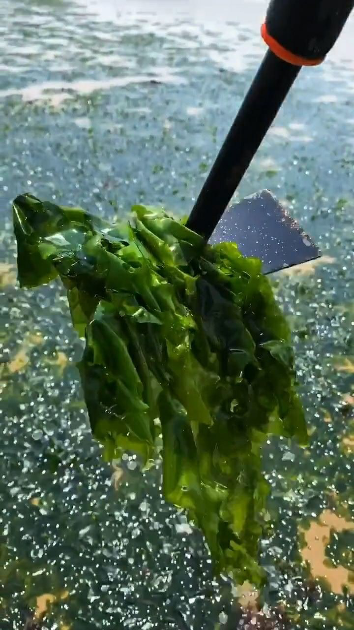 Ϻ,ջĺ,ֲ˲ʳ