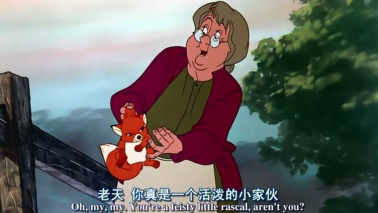 狐狸与猎狗:老奶奶捡到小狐狸,将小狐狸收养