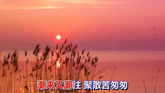 一首怀旧情歌《几度夕阳红》