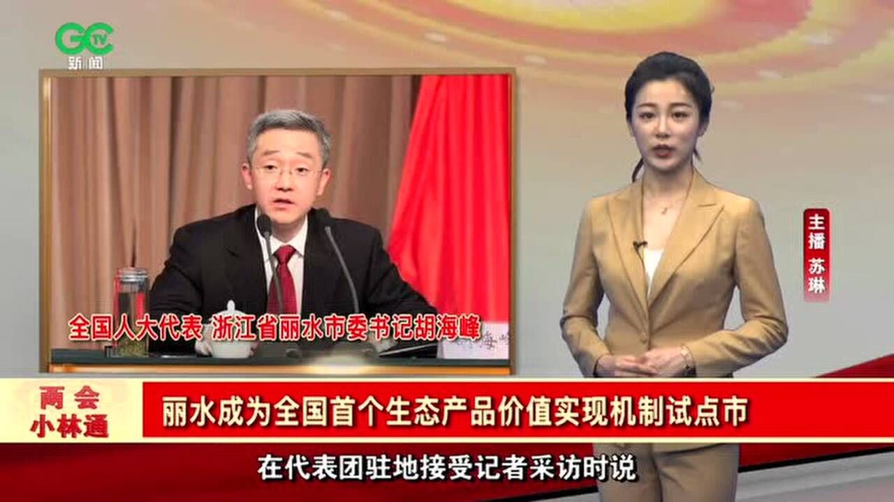 胡海峰代表:丽水成为全国首个生态产品价值实现机制试点市腾讯视频