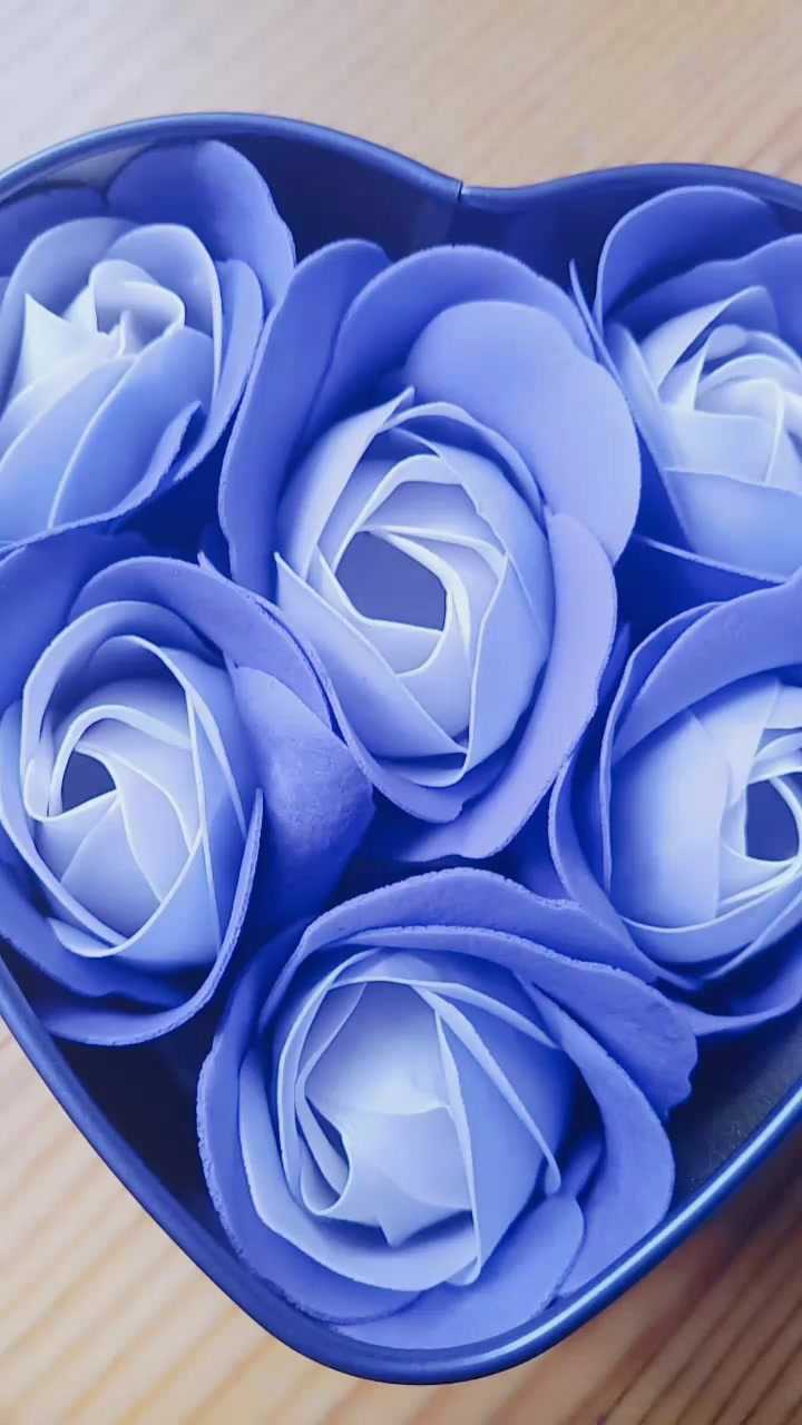 男朋友送的蓝色妖姬这家伙终于有心了可算不是钢铁直男了