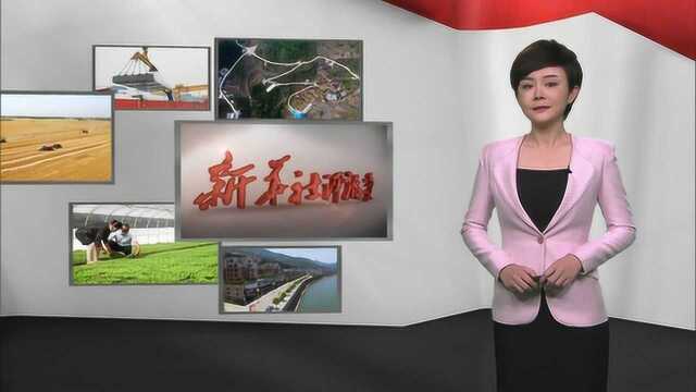 新华社评论员:以保障改善民生暖民心聚民力