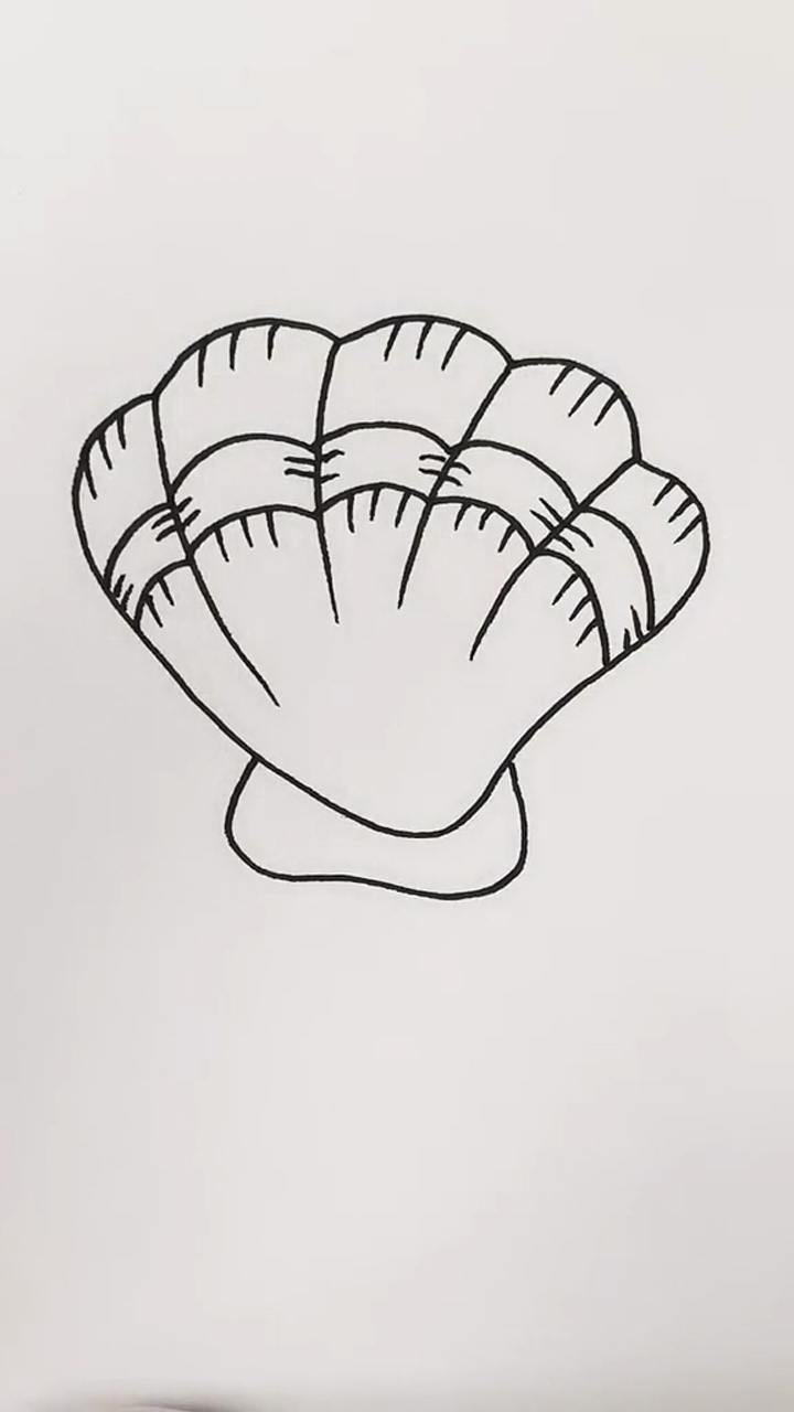 画贝壳 #简笔画