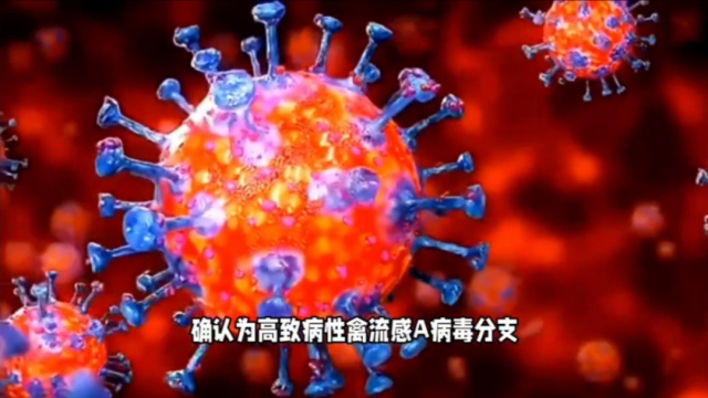 美国发现人类感染甲型h5n1流感病毒病例