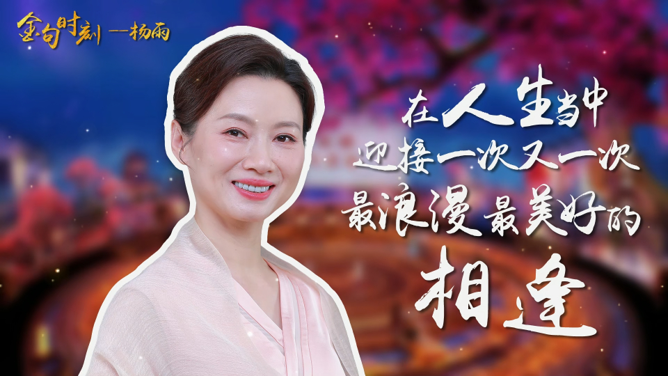 诗词大会|杨雨金句:人生最美好的相逢就好比种子恰巧落入大地,阳光